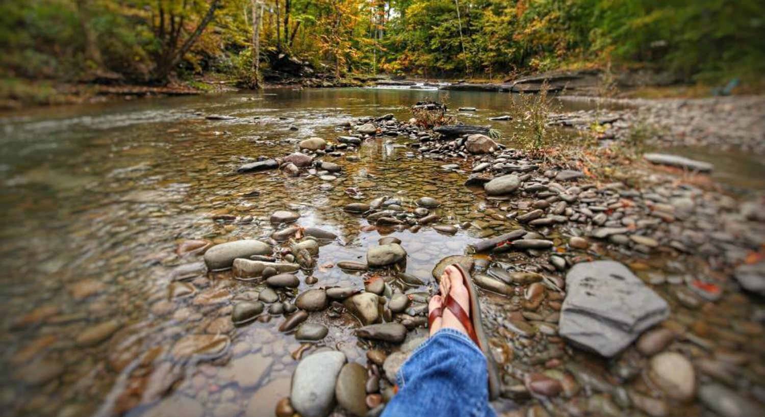 Ground level view of a rippling stream with lots of stones surrounded by trees with yellow and green leaves