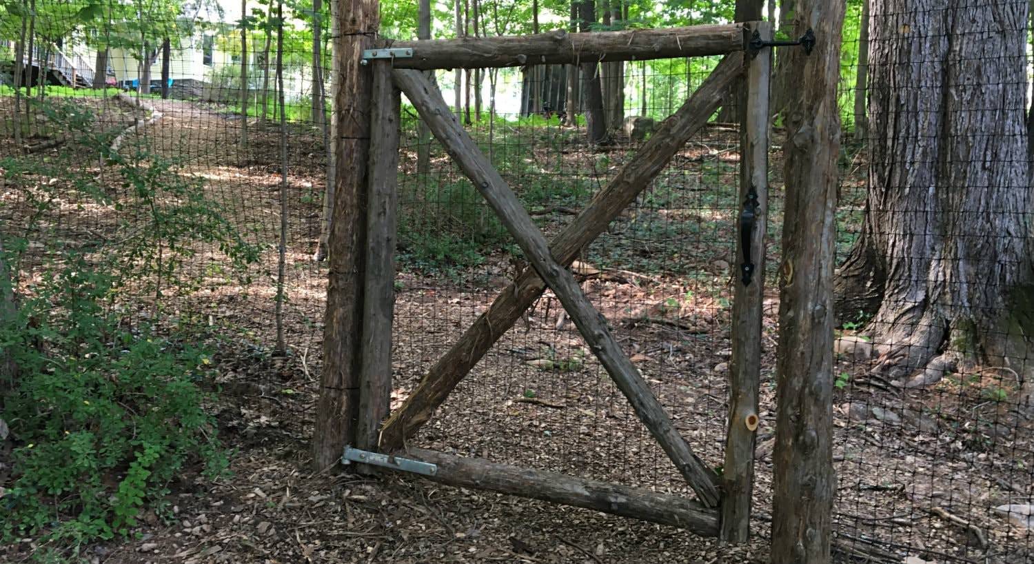 Rustic wood and wire fence and gate surrounded by trees, greenery and a path