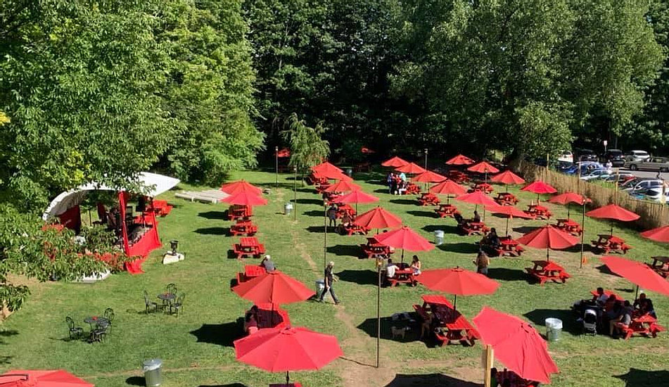 Looking down on a few rows of red umbrellas above wooden picnic table on a green grassy lawn. 