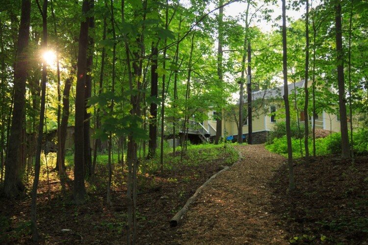 A mulched path with trees leads to a yellow house.