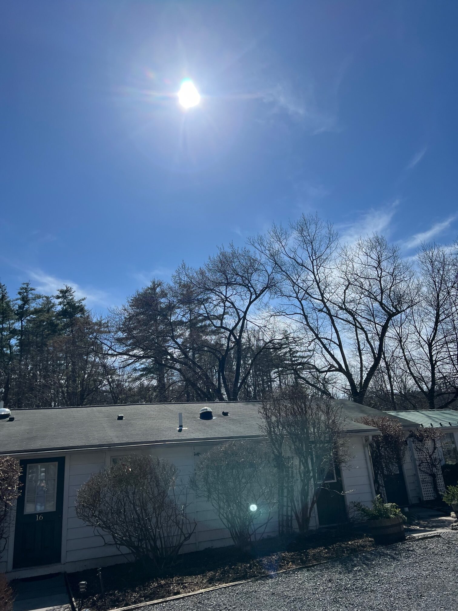 small white building with trees in background, bright blue sky with sun shining