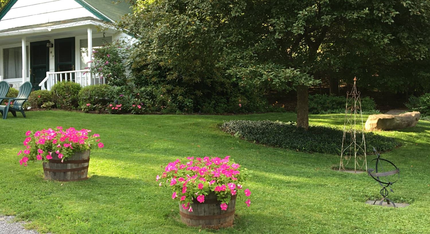 Green grassy lawn with wood buckets of pink flowers, a large greeen tree and a white cottage in the background