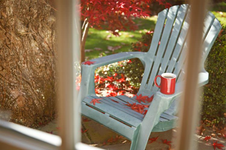 View through window of light blue Adirondack chair with red mug surrounded by red Chinese maple, shrubs and green grass