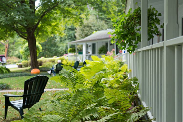 Adirondack chairs in a grassy lawn in front of white buildings surrounded by green plants and trees