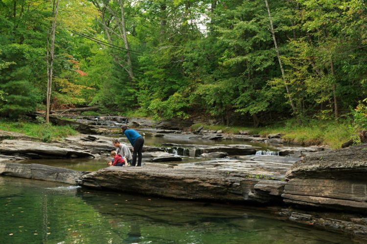 A father, mother and their two boys on a small rocky ledge overlooking the stream surrounded by green woods