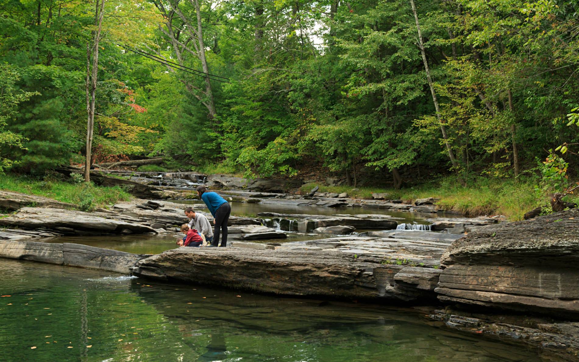 A father, mother and their two boys on a small rocky ledge overlooking the stream surrounded by green woods