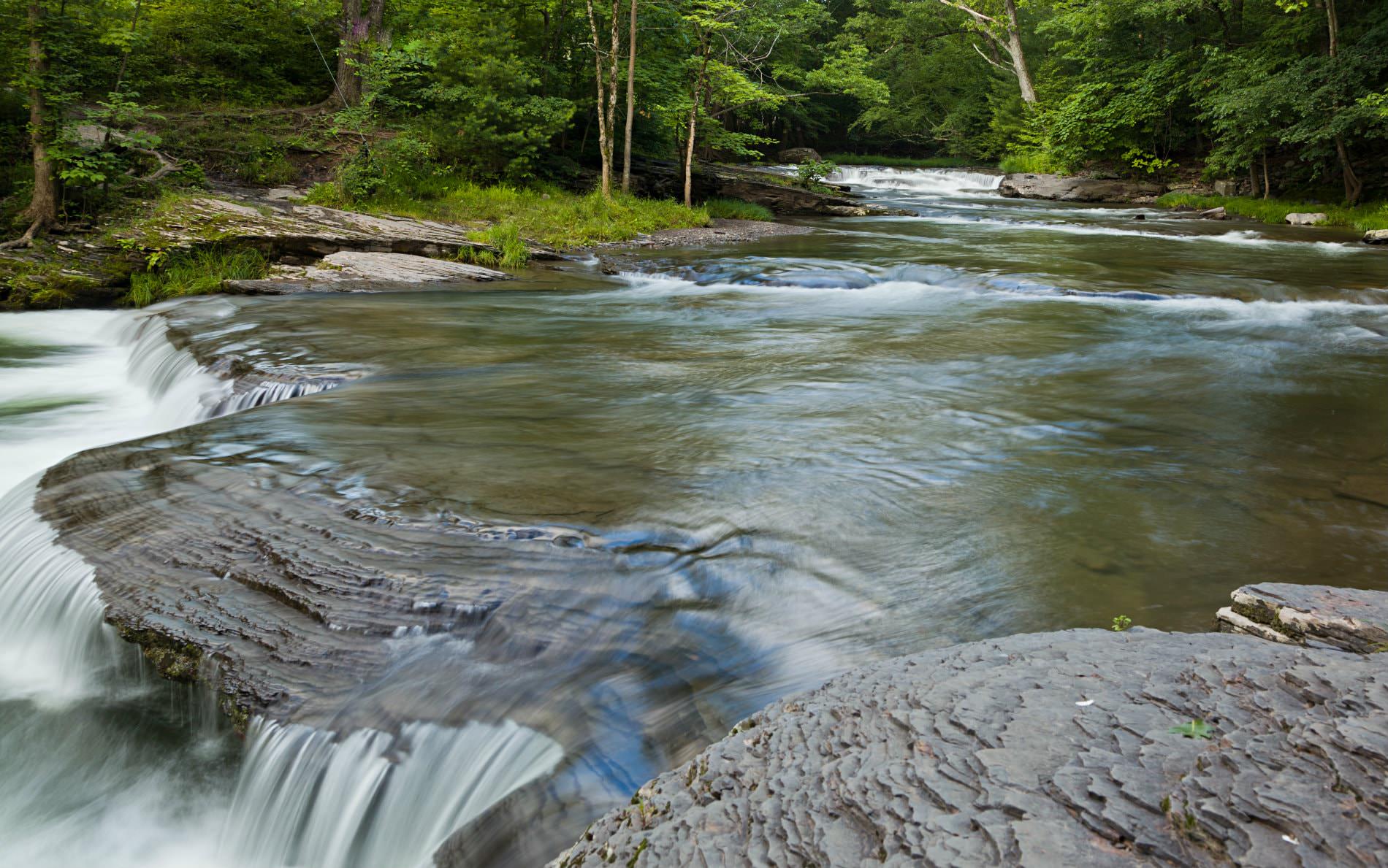 Flowing, rippling stream cascading over a rocky ledge surrounded by lush green woods