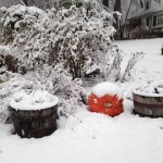 pumpkin in snow copy