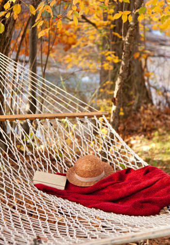 White netted hammock topped with straw hat, red blanket and book surrounded by autumn trees