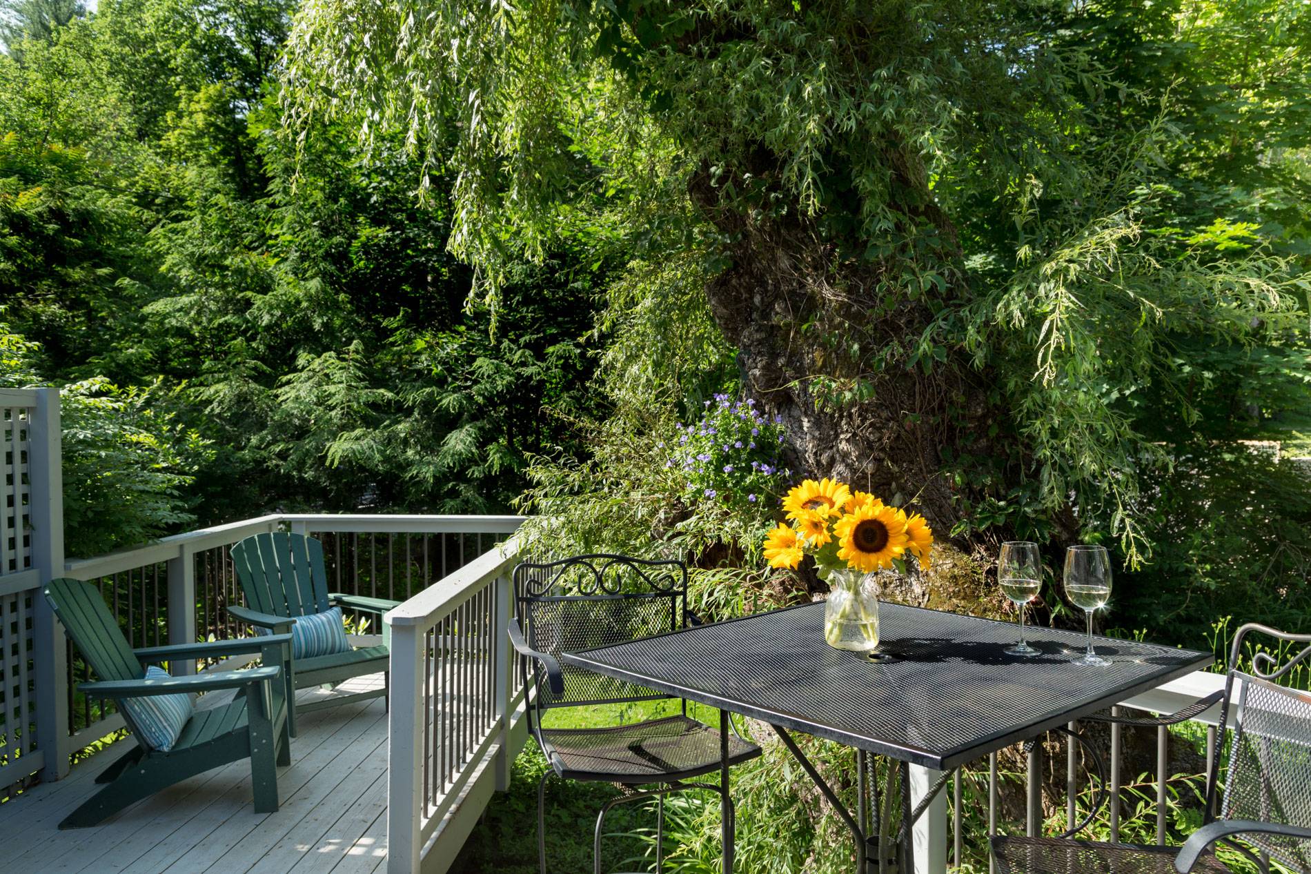Table with yellow sunflowers and green trees in background