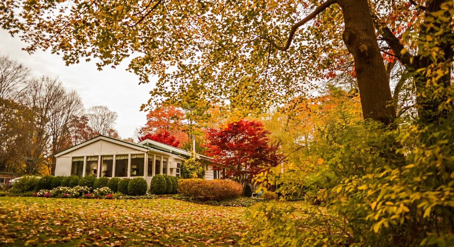 White cottage surrounded by trees with red, orange, and green leaves, and grass topped with fallen leaves