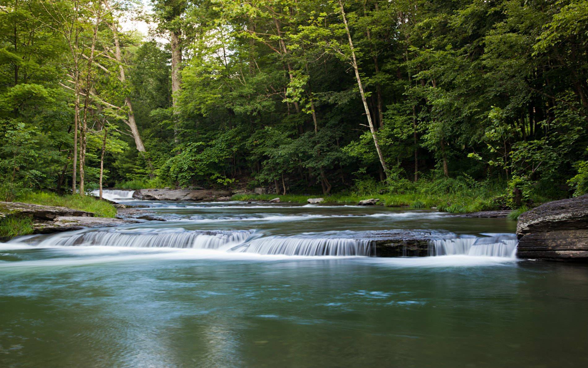 Shallow waterfall with white spraying water surrounded by woods and green leafed trees