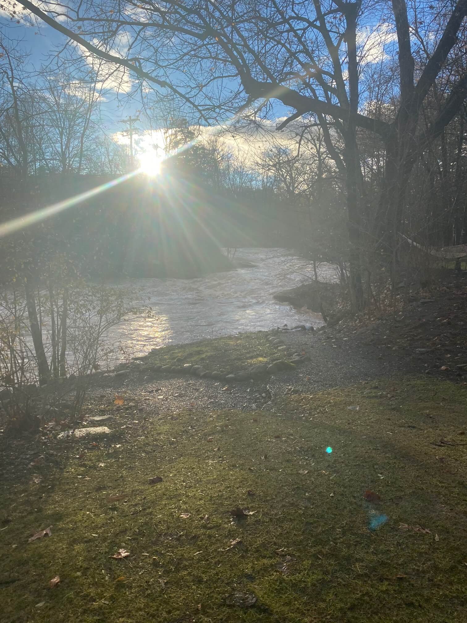 The sun shining through trees upon a brown stream and trees with no leaves 